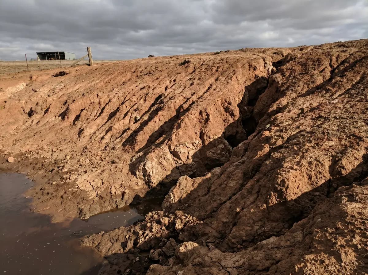 Aplicação real de hidrosemeadura em contenção de margem e talude rodoviário em Mato Grosso